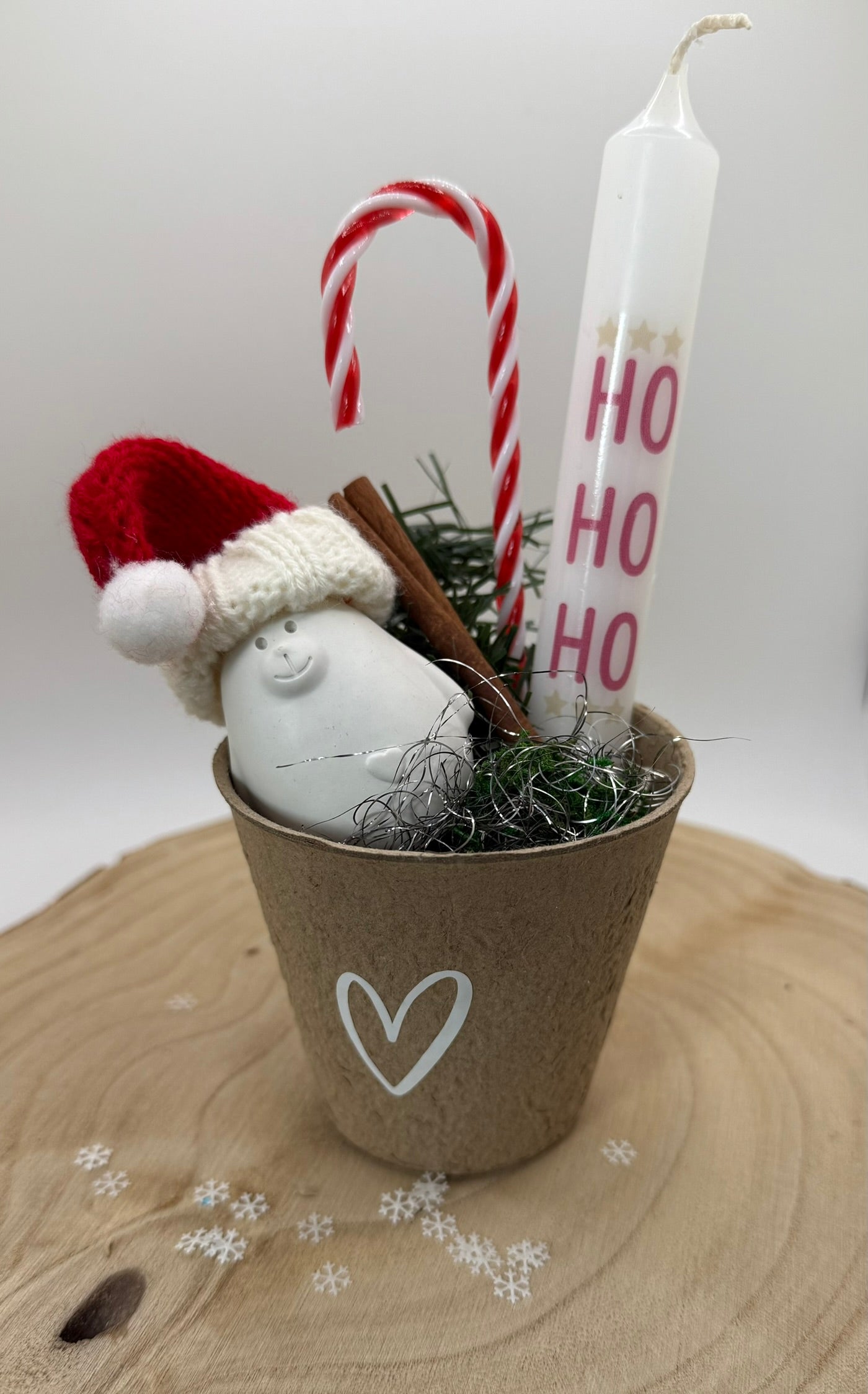 🎅🐻 Weihnachtsbär im Deko-Topf – Gipsfigur mit Festdetails