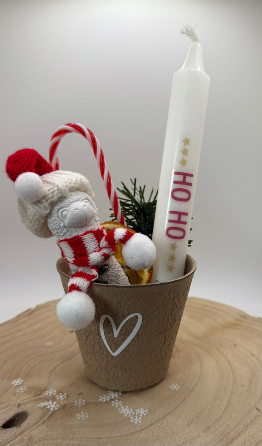 🎄 Alpaka-Gips „Winterfreund“ 🎄